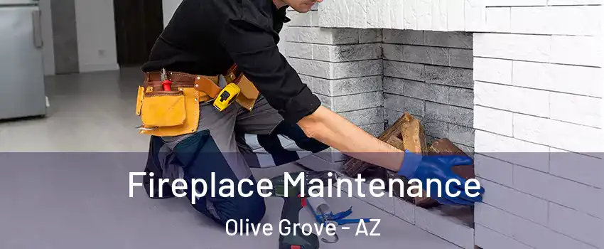 Fireplace Maintenance Olive Grove - AZ