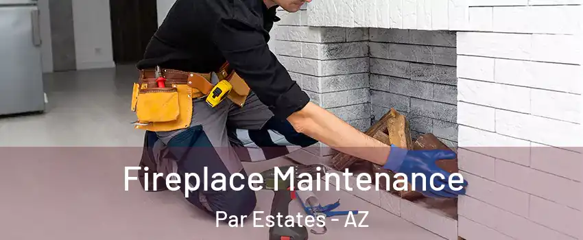 Fireplace Maintenance Par Estates - AZ