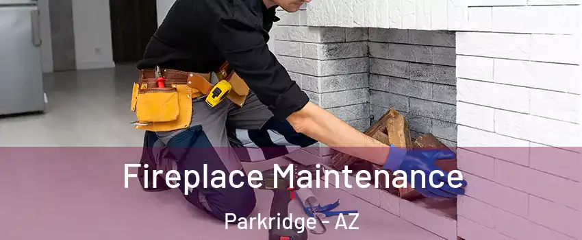 Fireplace Maintenance Parkridge - AZ