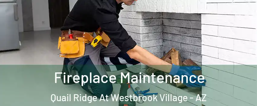 Fireplace Maintenance Quail Ridge At Westbrook Village - AZ
