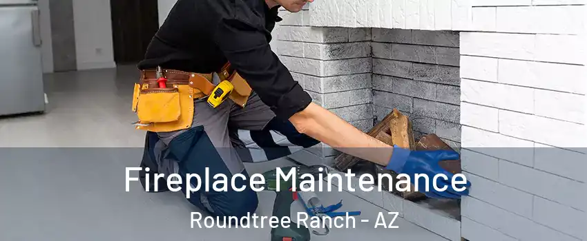 Fireplace Maintenance Roundtree Ranch - AZ