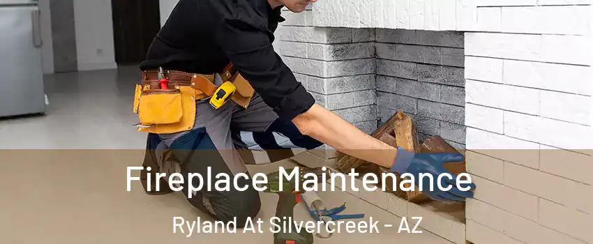 Fireplace Maintenance Ryland At Silvercreek - AZ