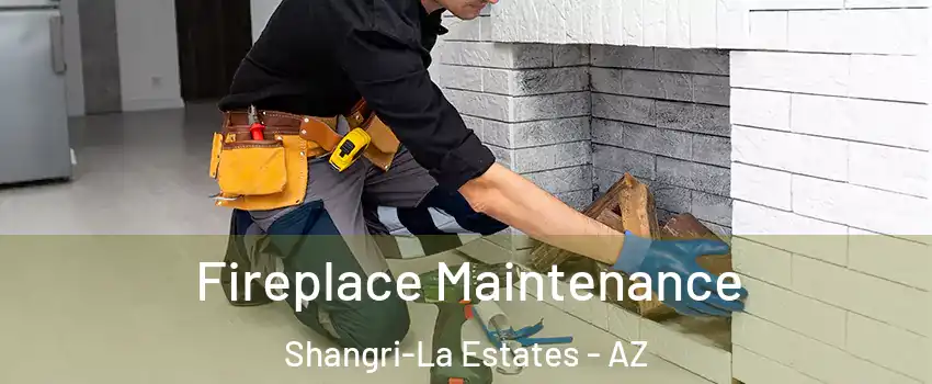 Fireplace Maintenance Shangri-La Estates - AZ