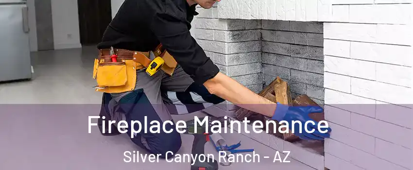 Fireplace Maintenance Silver Canyon Ranch - AZ