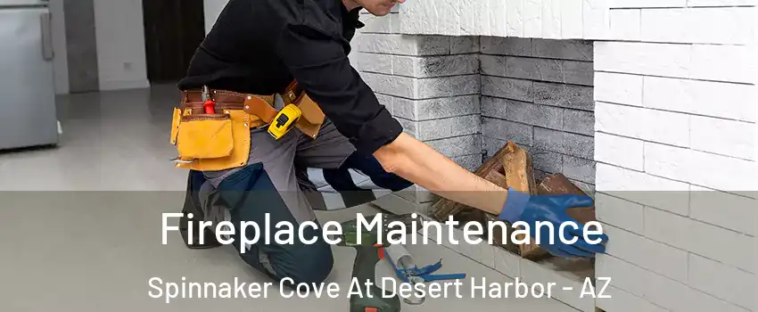 Fireplace Maintenance Spinnaker Cove At Desert Harbor - AZ