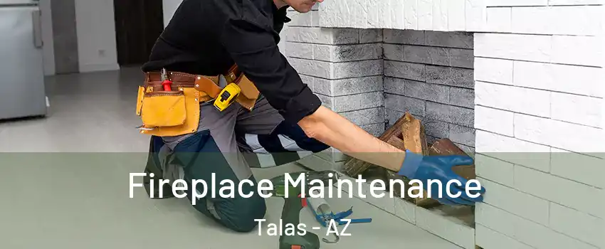 Fireplace Maintenance Talas - AZ