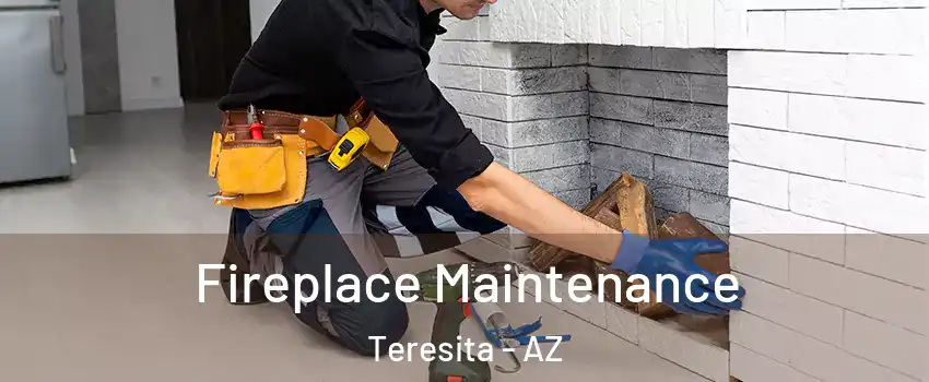 Fireplace Maintenance Teresita - AZ