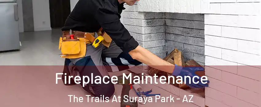 Fireplace Maintenance The Trails At Suraya Park - AZ