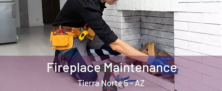 Fireplace Maintenance Tierra Norte 5 - AZ