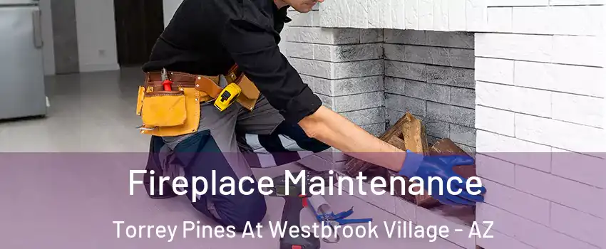 Fireplace Maintenance Torrey Pines At Westbrook Village - AZ