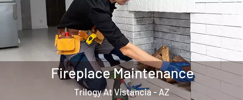 Fireplace Maintenance Trilogy At Vistancia - AZ