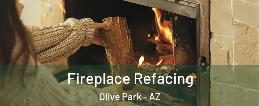 Fireplace Refacing Olive Park - AZ