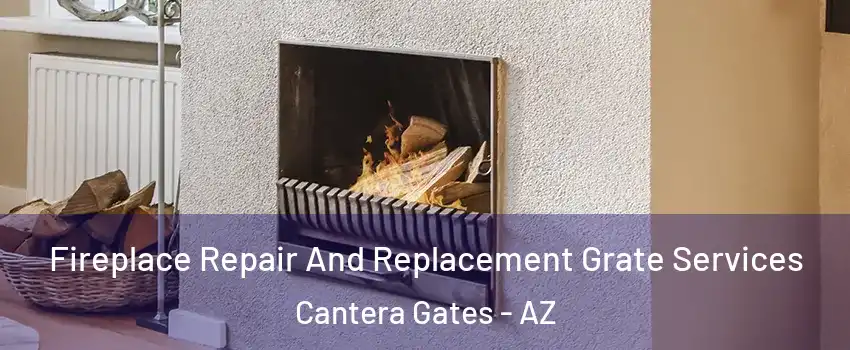 Fireplace Repair And Replacement Grate Services Cantera Gates - AZ