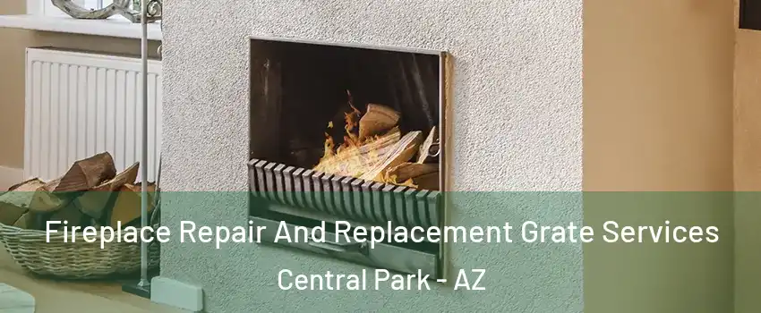 Fireplace Repair And Replacement Grate Services Central Park - AZ