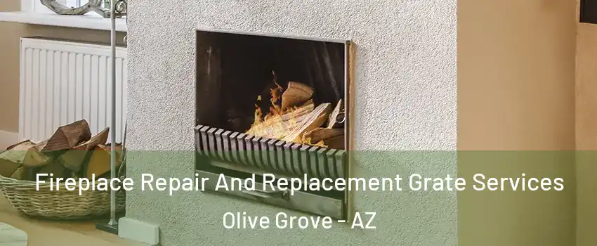 Fireplace Repair And Replacement Grate Services Olive Grove - AZ