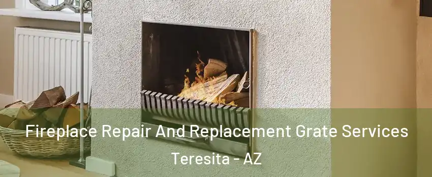 Fireplace Repair And Replacement Grate Services Teresita - AZ