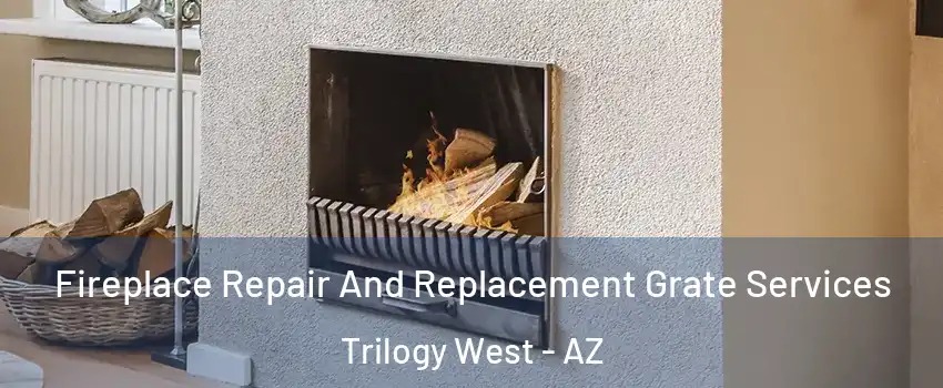 Fireplace Repair And Replacement Grate Services Trilogy West - AZ