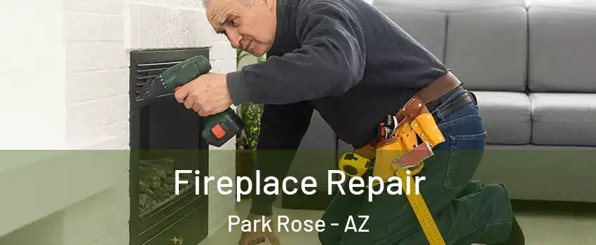 Fireplace Repair Park Rose - AZ