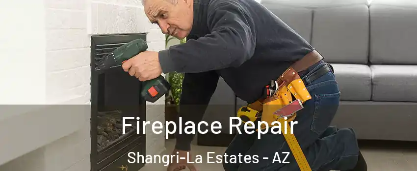 Fireplace Repair Shangri-La Estates - AZ