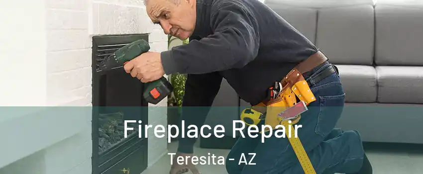 Fireplace Repair Teresita - AZ