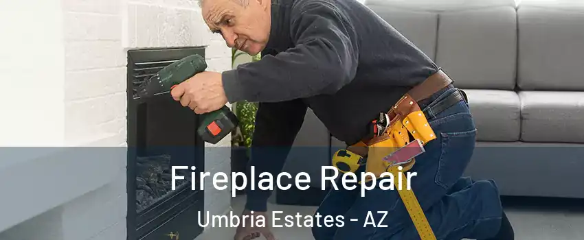 Fireplace Repair Umbria Estates - AZ