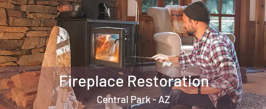 Fireplace Restoration Central Park - AZ