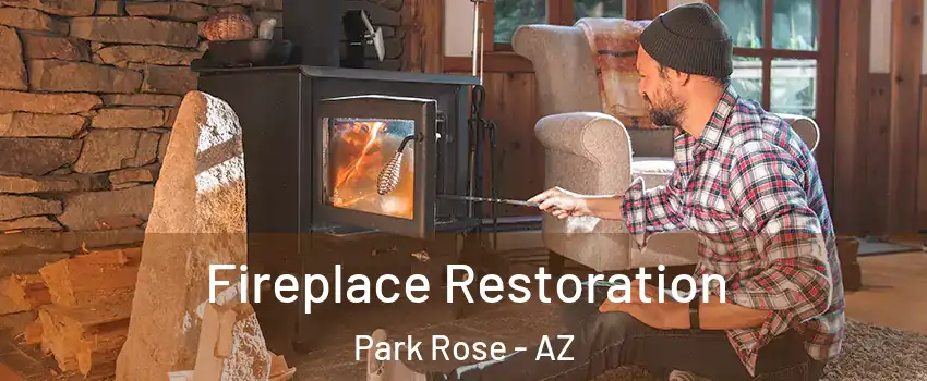 Fireplace Restoration Park Rose - AZ