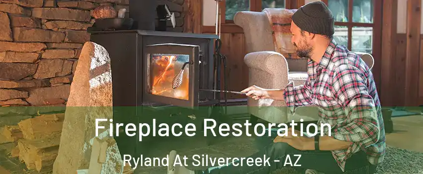 Fireplace Restoration Ryland At Silvercreek - AZ