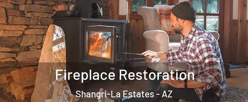 Fireplace Restoration Shangri-La Estates - AZ