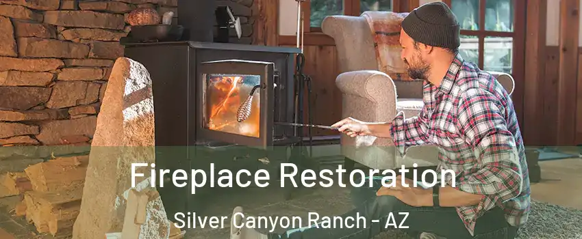 Fireplace Restoration Silver Canyon Ranch - AZ