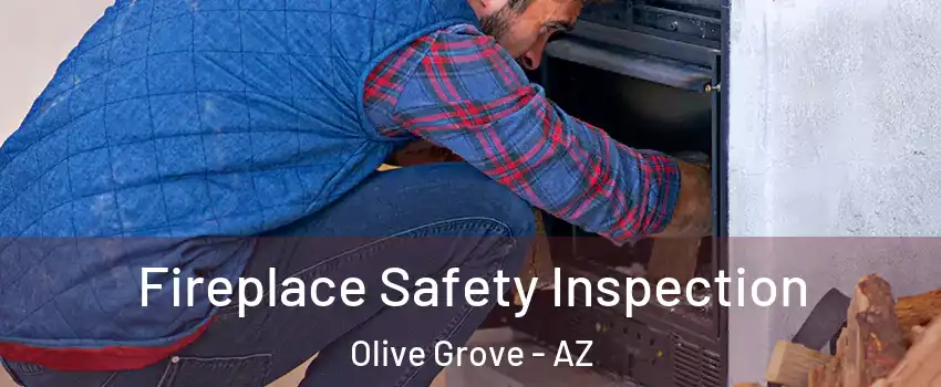 Fireplace Safety Inspection Olive Grove - AZ