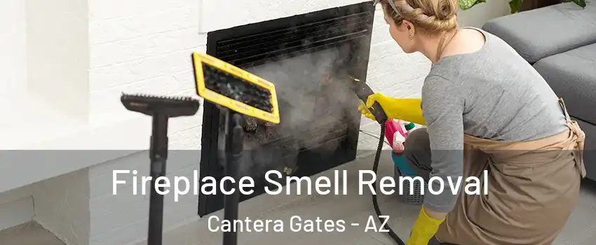 Fireplace Smell Removal Cantera Gates - AZ