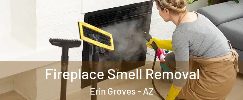 Fireplace Smell Removal Erin Groves - AZ