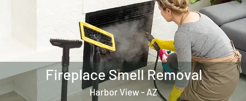 Fireplace Smell Removal Harbor View - AZ