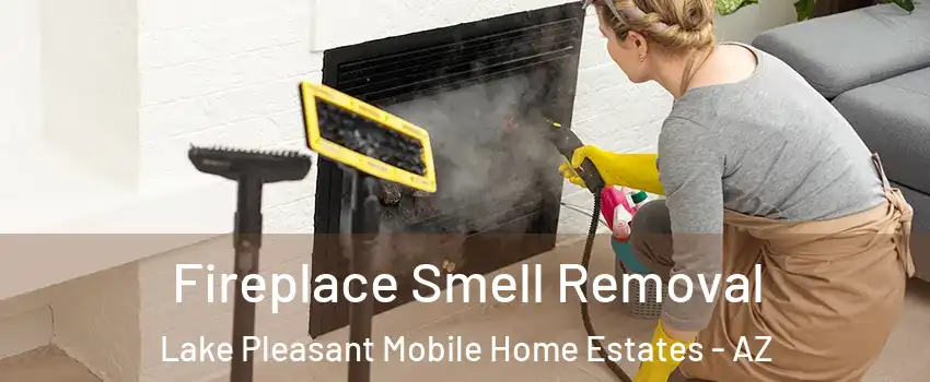 Fireplace Smell Removal Lake Pleasant Mobile Home Estates - AZ