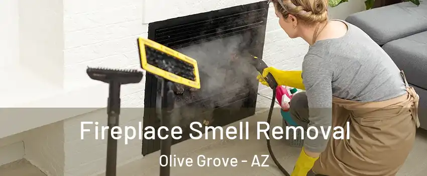 Fireplace Smell Removal Olive Grove - AZ