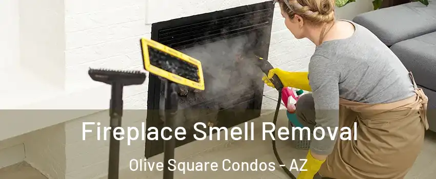 Fireplace Smell Removal Olive Square Condos - AZ