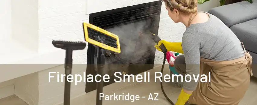 Fireplace Smell Removal Parkridge - AZ