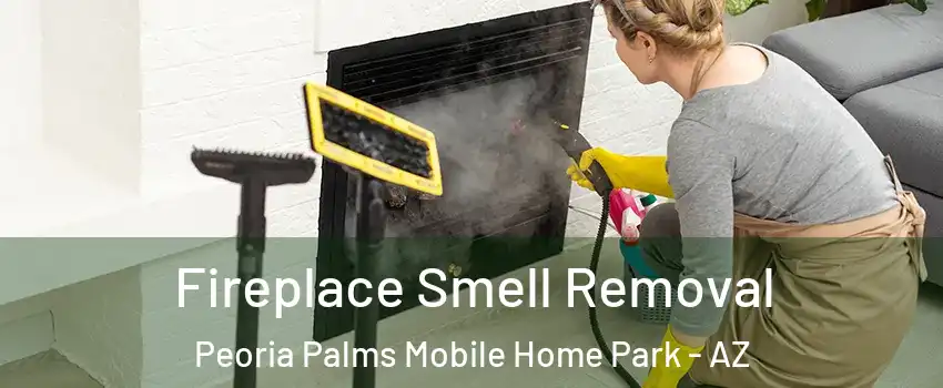Fireplace Smell Removal Peoria Palms Mobile Home Park - AZ