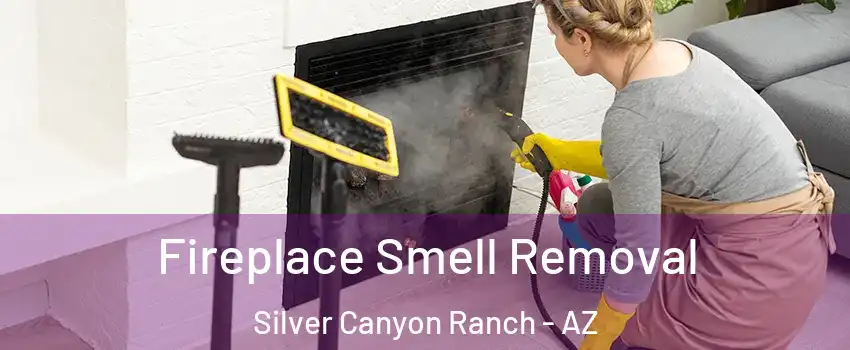 Fireplace Smell Removal Silver Canyon Ranch - AZ