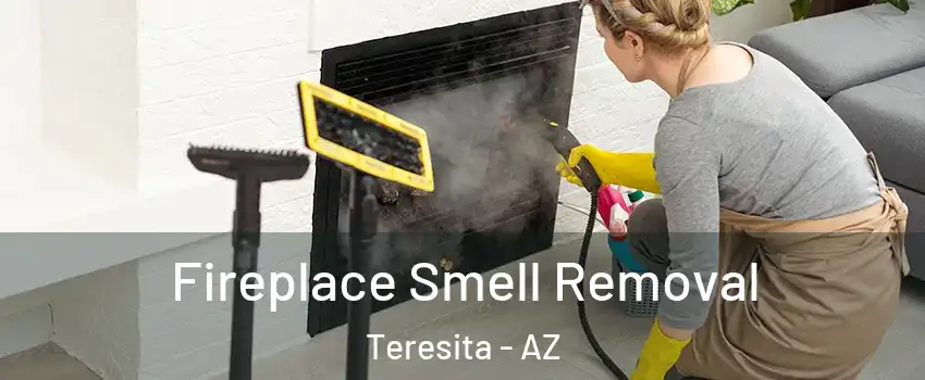 Fireplace Smell Removal Teresita - AZ