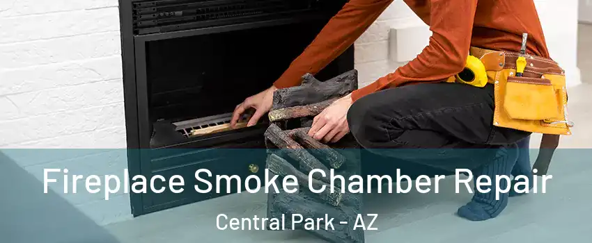 Fireplace Smoke Chamber Repair Central Park - AZ