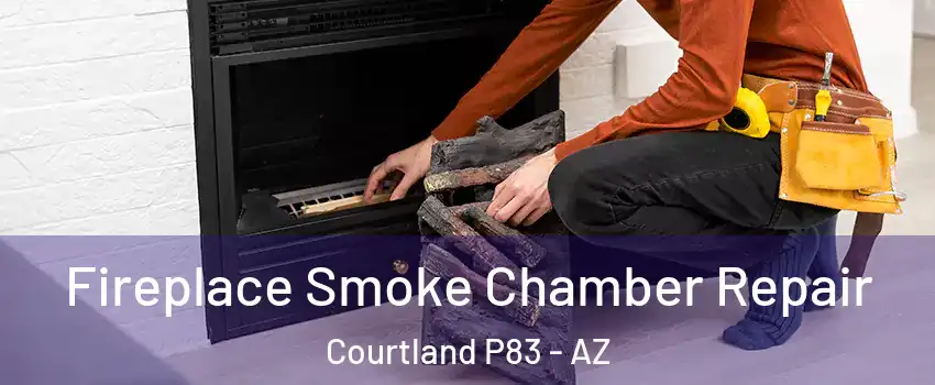 Fireplace Smoke Chamber Repair Courtland P83 - AZ
