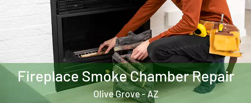 Fireplace Smoke Chamber Repair Olive Grove - AZ