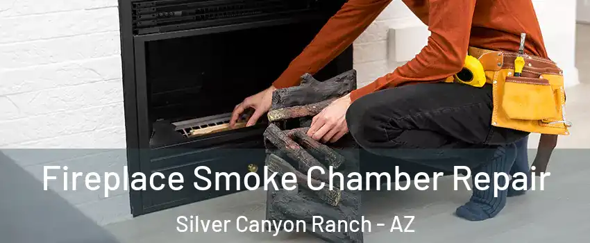 Fireplace Smoke Chamber Repair Silver Canyon Ranch - AZ