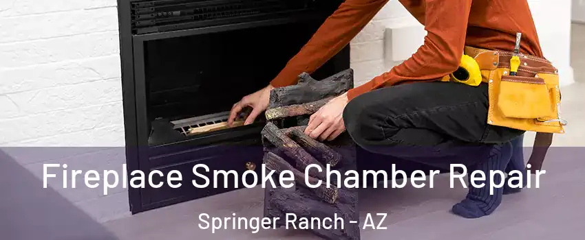 Fireplace Smoke Chamber Repair Springer Ranch - AZ