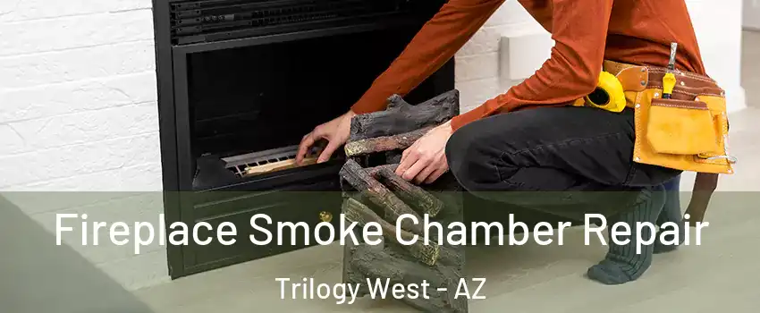 Fireplace Smoke Chamber Repair Trilogy West - AZ