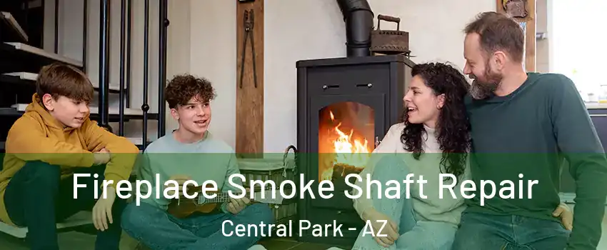Fireplace Smoke Shaft Repair Central Park - AZ