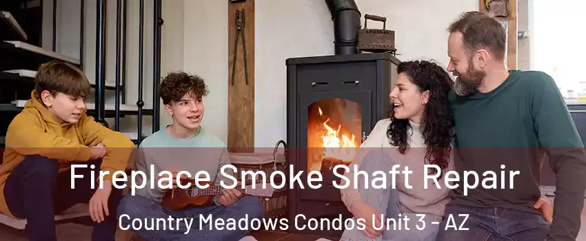 Fireplace Smoke Shaft Repair Country Meadows Condos Unit 3 - AZ