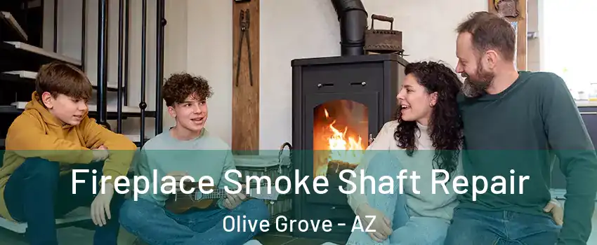 Fireplace Smoke Shaft Repair Olive Grove - AZ